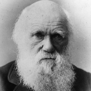 Charles Darwin 9266433 1 402
